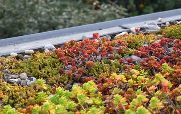 the cost of Newton On The Hill green roof installation