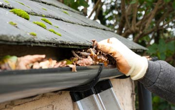 gutter cleaning Newton On The Hill, Shropshire