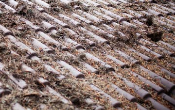 Newton On The Hill roof cleaning companies